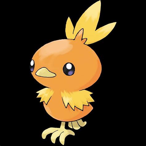 They name the Pok&233;mon Mew on July 10. . Fire chicken pokemon